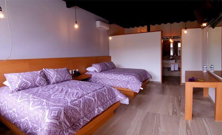 Villa Gallaecia G&S Con 10 Habitaciones Santa Catarina  外观 照片